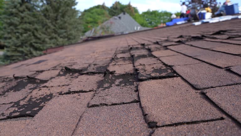 Best Chimney Flashing Repair  in Bradford, OH